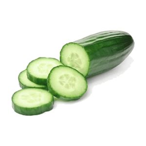 Pepino Comum